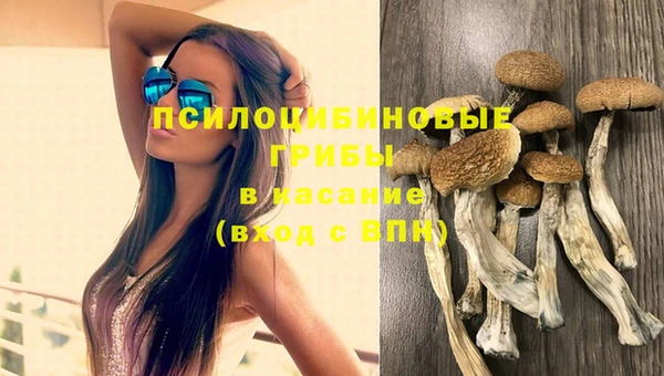 экстази Арсеньев