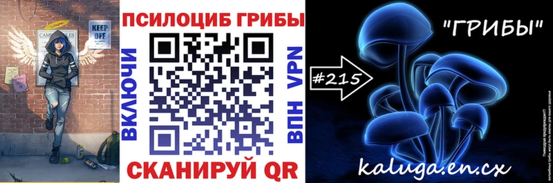 Галлюциногенные грибы Psilocybe  где купить наркоту  Обоянь 